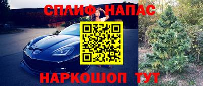 гидра Сланцы