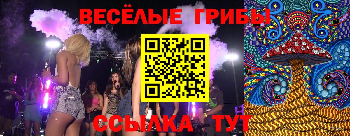 Псилоцибиновые грибы Psilocybine cubensis Саратов